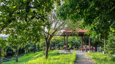 樹義公園